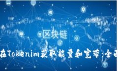 如何在Tokenim获取能量和宽带：全面指南
