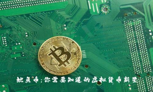 鱿鱼币:你需要知道的虚拟货币新星