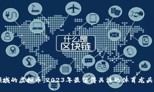 体育领域的虚拟币:2023年最值得关注的体育龙头虚拟币