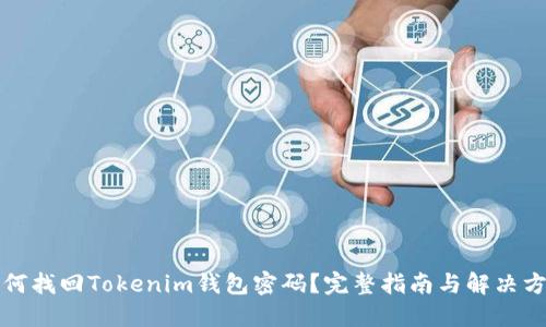 如何找回Tokenim钱包密码?完整指南与解决方案