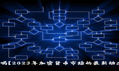 虚拟币来了吗?2023年加密货币市场的最新动态与未来趋势