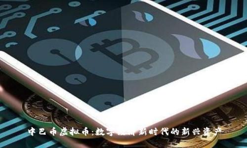 中巴币虚拟币:数字经济新时代的新兴资产