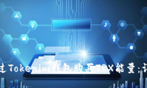 如何通过Tokenim钱包购买TRX能量:详细指南