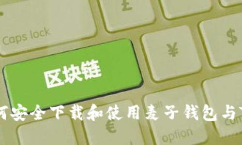 国内如何安全下载和使用麦子钱包与Tokenim?
