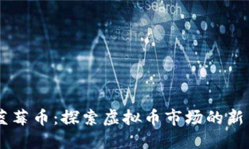 蓝莓币:探索虚拟币市场的新星