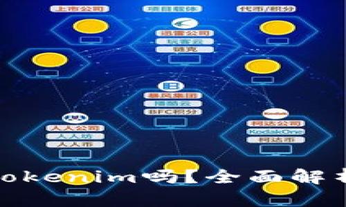 Pi币能放入Tokenim吗?全面解析及投资指南