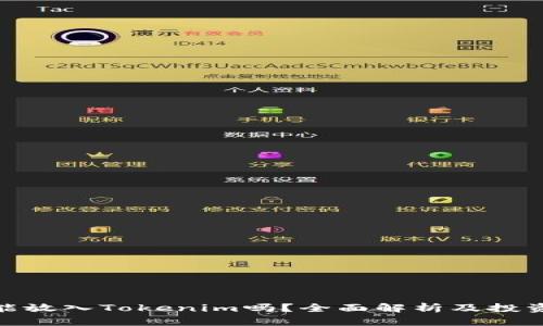 Pi币能放入Tokenim吗?全面解析及投资指南