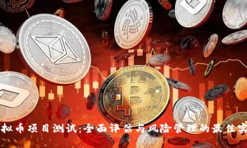 虚拟币项目测试:全面评估与风险管理的最佳实践