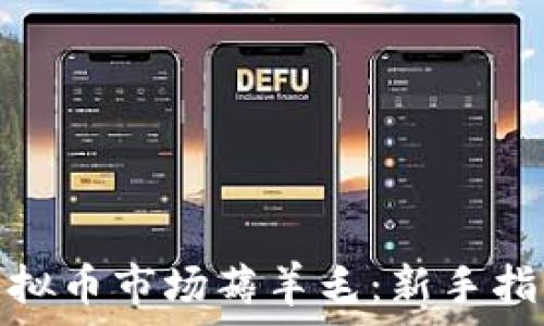 如何在外围虚拟币市场薅羊毛:新手指南与顶尖策略