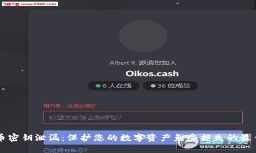 虚拟币密钥泄漏:保护您的数字资产免受损失的最佳实践