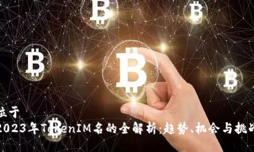 位于
2023年TokenIM名的全解析:趋势、机会与挑战