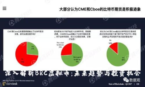 深入解析BRC虚拟币:未来趋势与投资机会