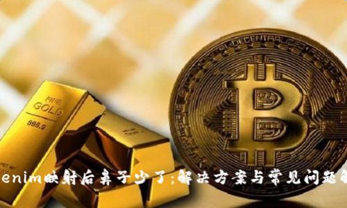 Tokenim映射后鼻子少了:解决方案与常见问题解答