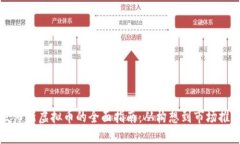 发布新虚拟币的全面指南：从构想到市场推广