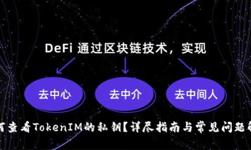 如何查看TokenIM的私钥?详尽指南与常见问题解答