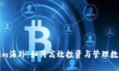 Tokenim海外：如何高效投资与管理数字资产
