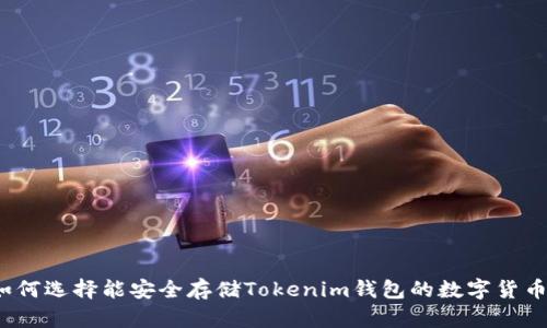 如何选择能安全存储Tokenim钱包的数字货币？