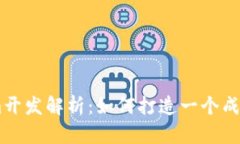 高仿Tokenim开发解析：如何打造一个成功的令牌项