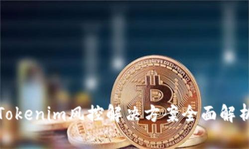 Tokenim风控解决方案全面解析