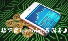海外市场下架Tokenim：原因与未来展望