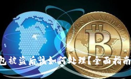 Tokenim钱包被盗后该如何处理？全面指南与应对策略