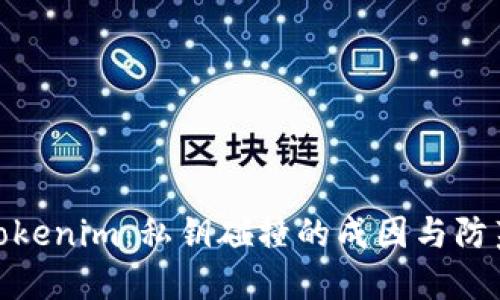 探秘Tokenim：私钥碰撞的成因与防范措施